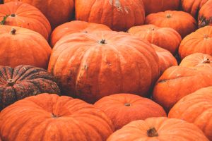 diverse zucche poste una accanto all'altra, di diverse dimensioni