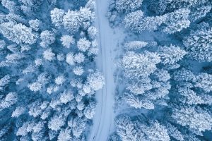 Una foresta innevata vista dall'alto