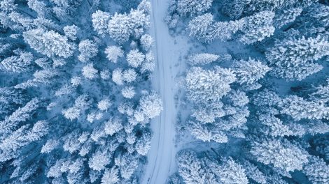 Una foresta innevata vista dall'alto