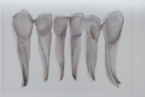 Un quadro che raffigura dei denti