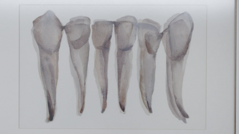Un quadro che raffigura dei denti